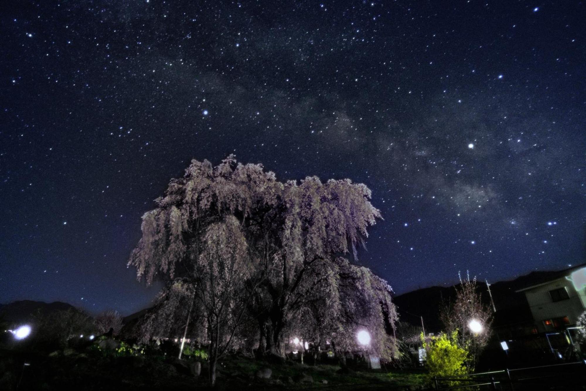 Готель Fujiiso (Adults Only) Takayama  Екстер'єр фото