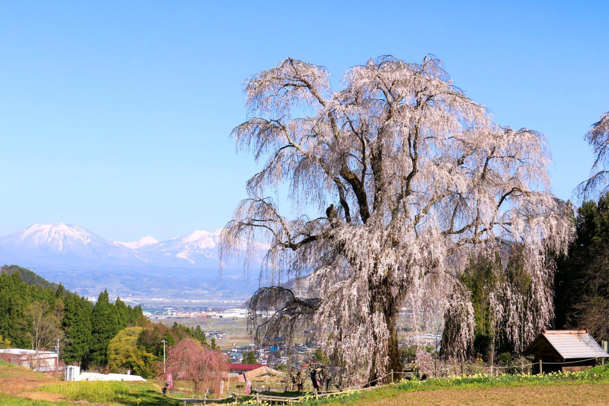 Готель Fujiiso (Adults Only) Takayama  Екстер'єр фото