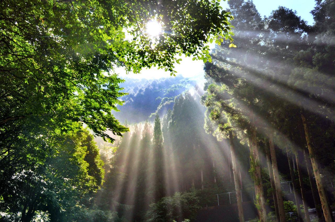 Готель Fujiiso (Adults Only) Takayama  Екстер'єр фото
