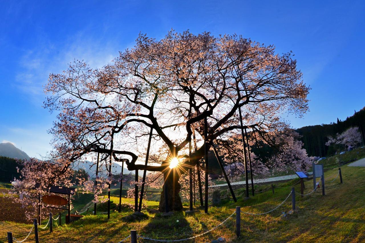 Готель Fujiiso (Adults Only) Takayama  Екстер'єр фото